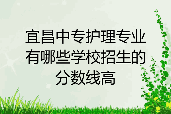 宜昌中专护理专业有哪些学校招生的分数线高