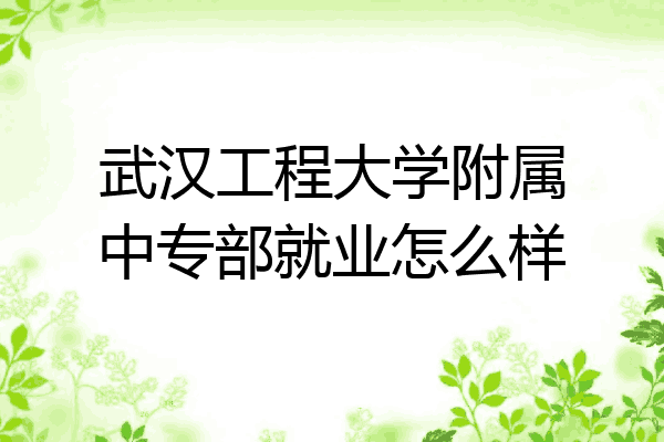 武汉工程大学附属中专部就业怎么样