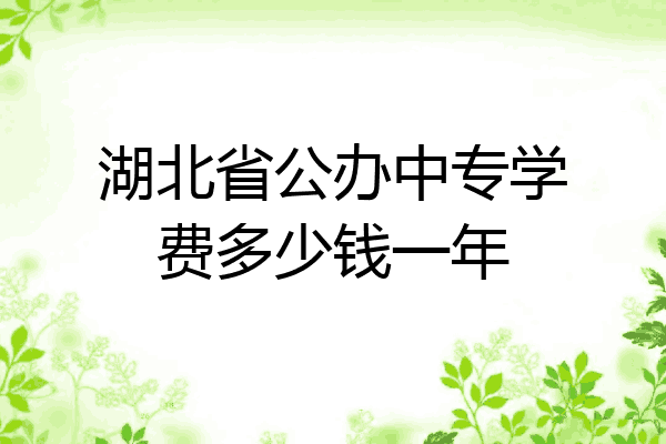 湖北省公办中专学费多少钱一年