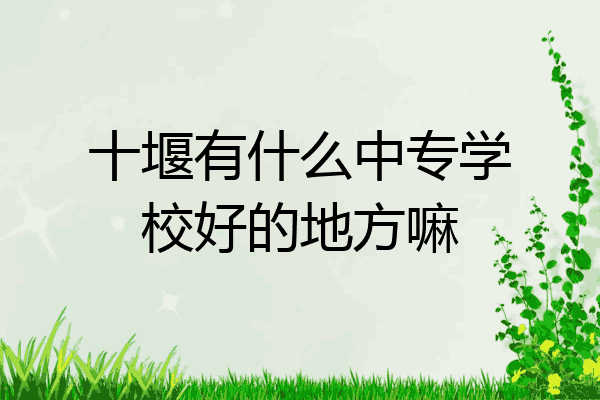 十堰有什么中专学校好的地方嘛