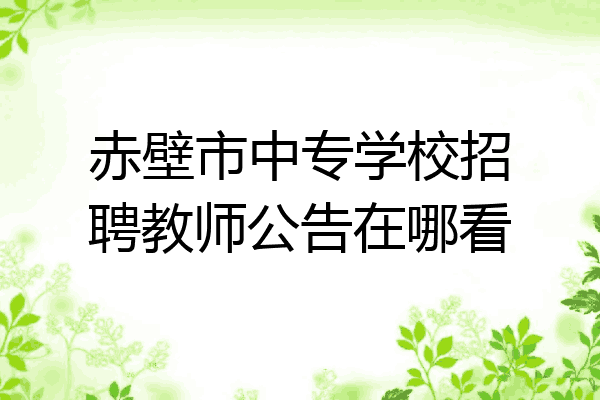 赤壁市中专学校招聘教师公告在哪看