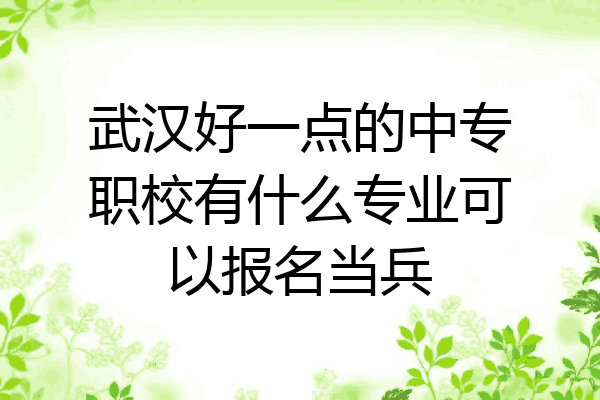 武汉好一点的中专职校有什么专业可以报名当兵
