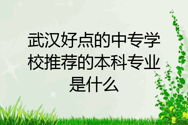 武汉好点的中专学校推荐的本科专业是什么