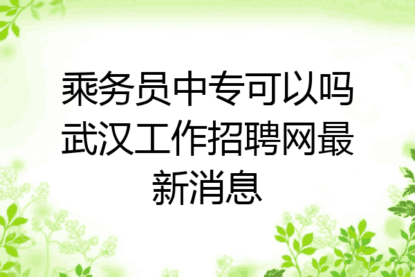 乘务员中专可以吗武汉工作招聘网最新消息