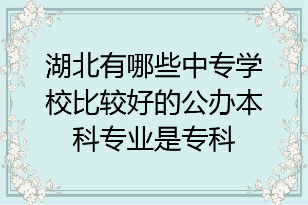 湖北有哪些中专学校比较好的公办本科专业是专科
