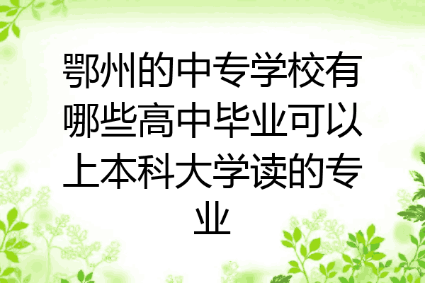 鄂州的中专学校有哪些高中毕业可以上本科大学读的专业