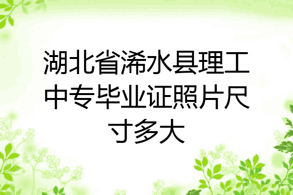 湖北省浠水县理工中专毕业证照片尺寸多大