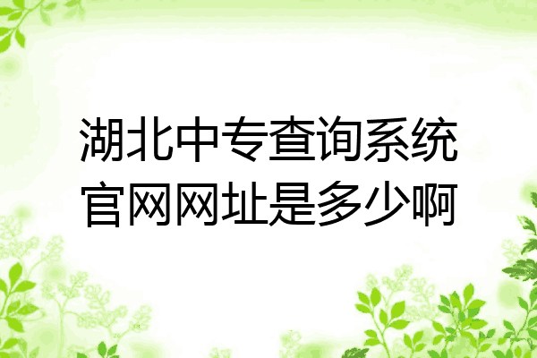 湖北中专查询系统官网网址是多少啊