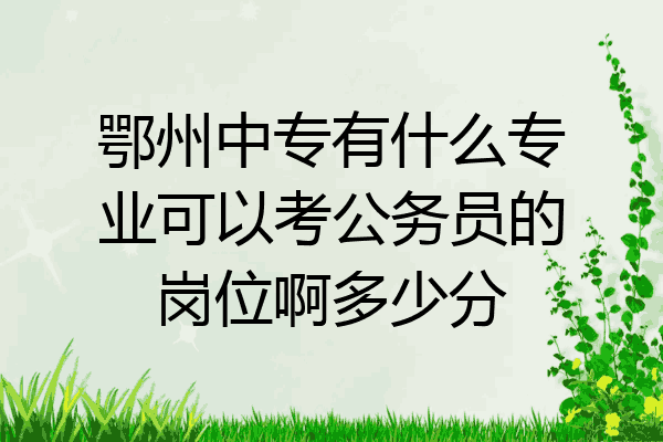 鄂州中专有什么专业可以考公务员的岗位啊多少分