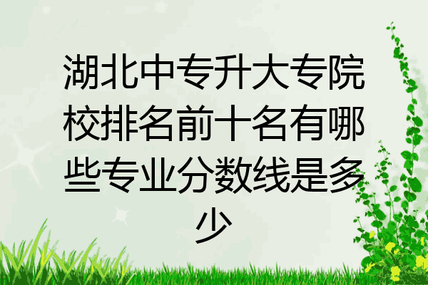 湖北中专升大专院校排名前十名有哪些专业分数线是多少