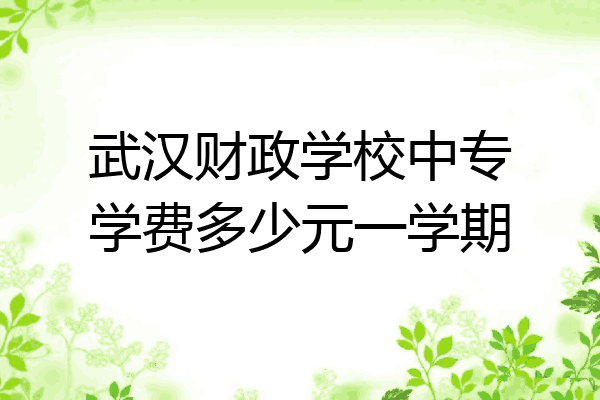 武汉财政学校中专学费多少元一学期