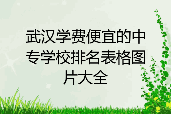 武汉学费便宜的中专学校排名表格图片大全