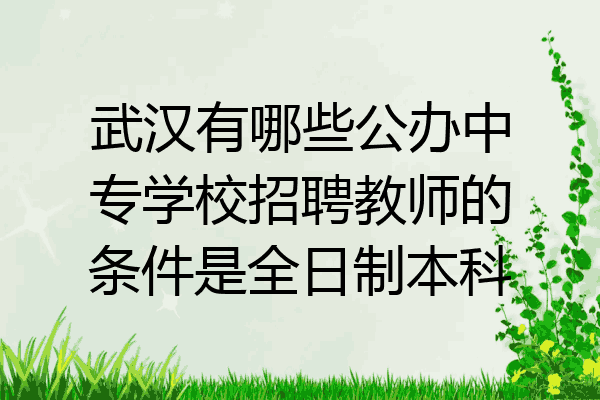 武汉有哪些公办中专学校招聘教师的条件是全日制本科
