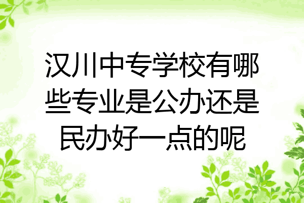 汉川中专学校有哪些专业是公办还是民办好一点的呢