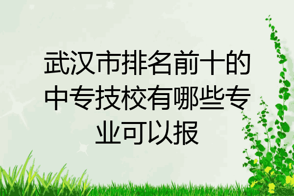 武汉市排名前十的中专技校有哪些专业可以报