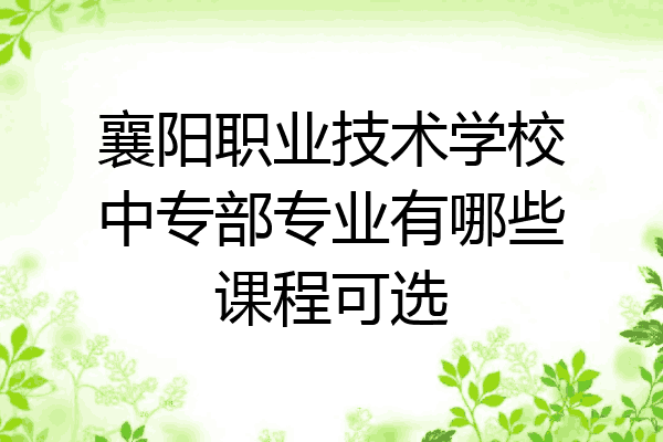 襄阳职业技术学校中专部专业有哪些课程可选