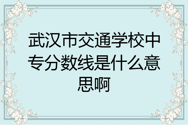武汉市交通学校中专分数线是什么意思啊