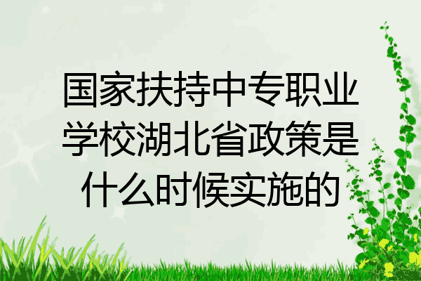国家扶持中专职业学校湖北省政策是什么时候实施的