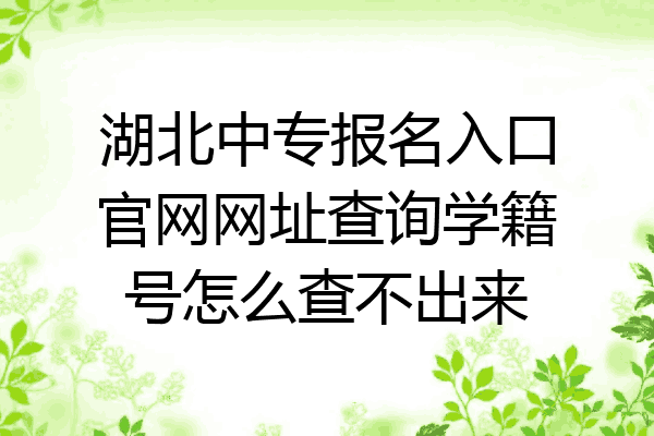 湖北中专报名入口官网网址查询学籍号怎么查不出来