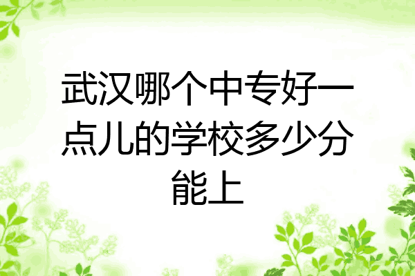武汉哪个中专好一点儿的学校多少分能上