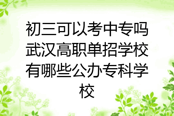 初三可以考中专吗武汉高职单招学校有哪些公办专科学校