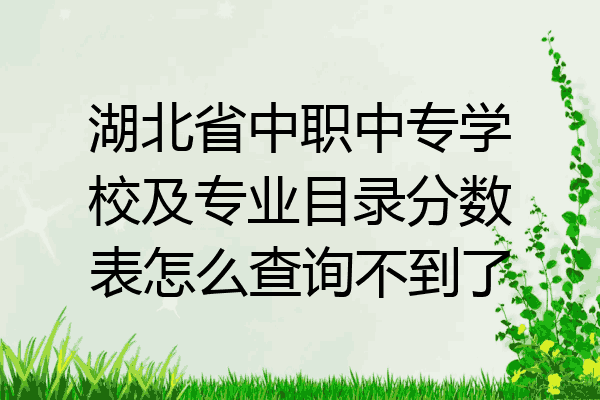湖北省中职中专学校及专业目录分数表怎么查询不到了