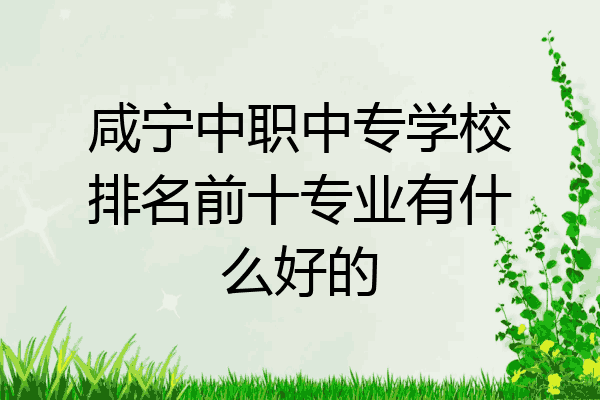 咸宁中职中专学校排名前十专业有什么好的
