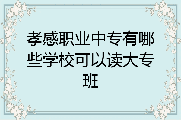 孝感职业中专有哪些学校可以读大专班