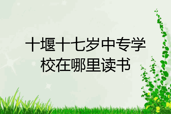 十堰十七岁中专学校在哪里读书