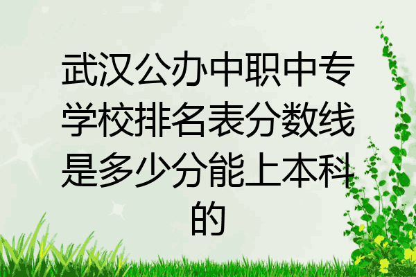 武汉公办中职中专学校排名表分数线是多少分能上本科的