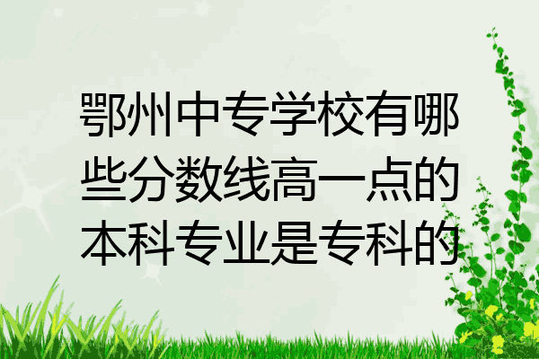 鄂州中专学校有哪些分数线高一点的本科专业是专科的