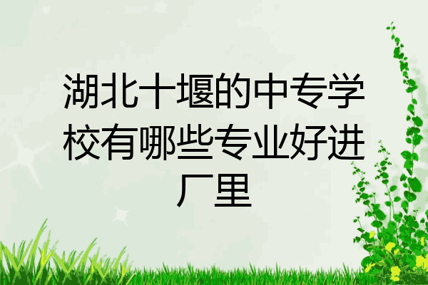 湖北十堰的中专学校有哪些专业好进厂里