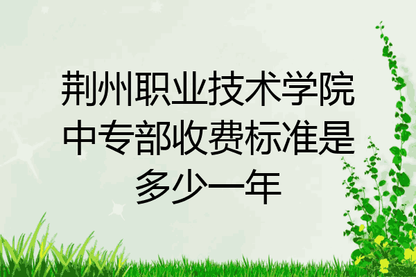 荆州职业技术学院中专部收费标准是多少一年
