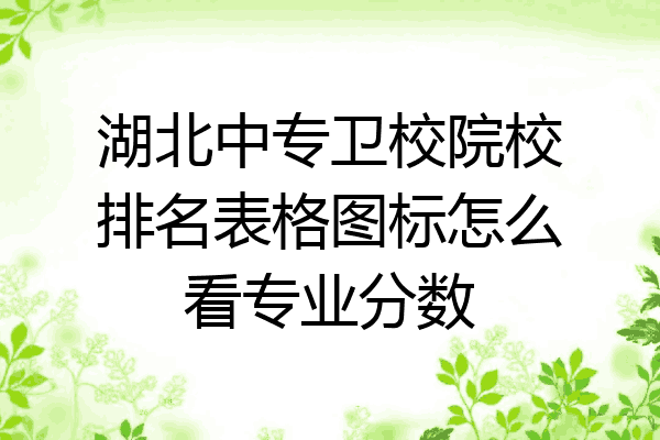 湖北中专卫校院校排名表格图标怎么看专业分数
