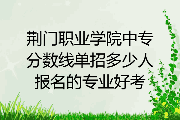 荆门职业学院中专分数线单招多少人报名的专业好考