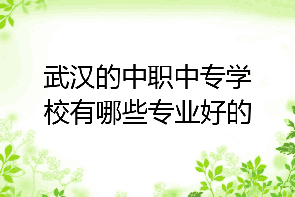 武汉的中职中专学校有哪些专业好的