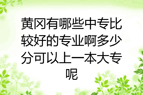 黄冈有哪些中专比较好的专业啊多少分可以上一本大专呢