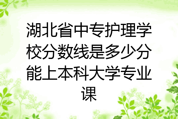 湖北省中专护理学校分数线是多少分能上本科大学专业课