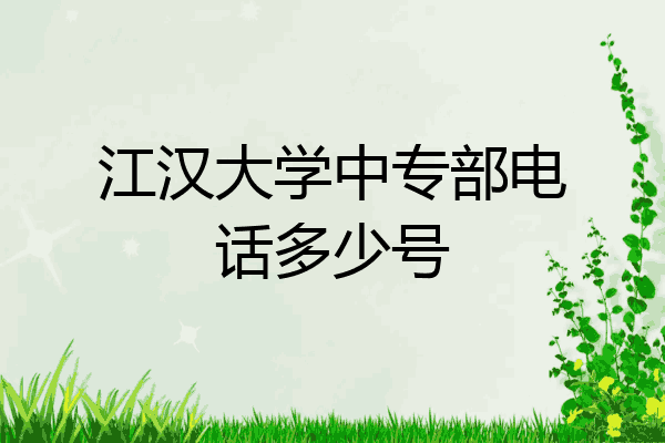 江汉大学中专部电话多少号
