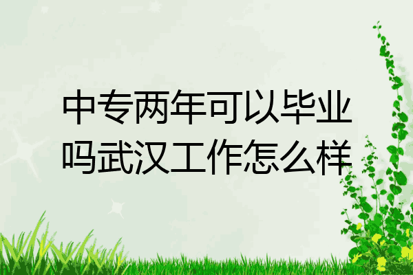 中专两年可以毕业吗武汉工作怎么样