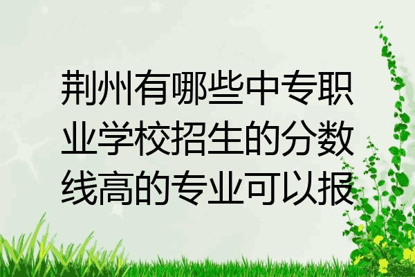 荆州有哪些中专职业学校招生的分数线高的专业可以报