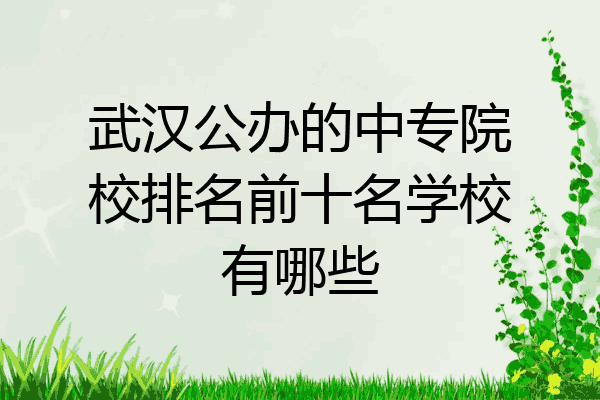 武汉公办的中专院校排名前十名学校有哪些