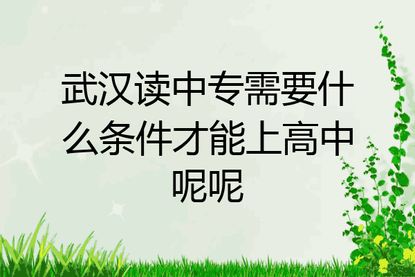 武汉读中专需要什么条件才能上高中呢呢