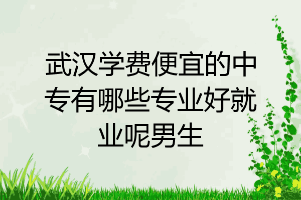 武汉学费便宜的中专有哪些专业好就业呢男生