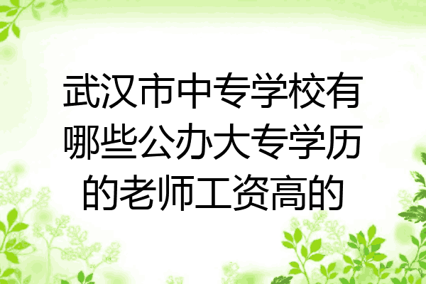 武汉市中专学校有哪些公办大专学历的老师工资高的