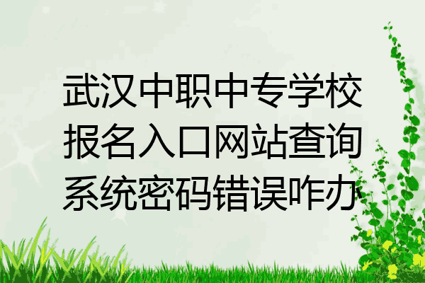武汉中职中专学校报名入口网站查询系统密码错误咋办
