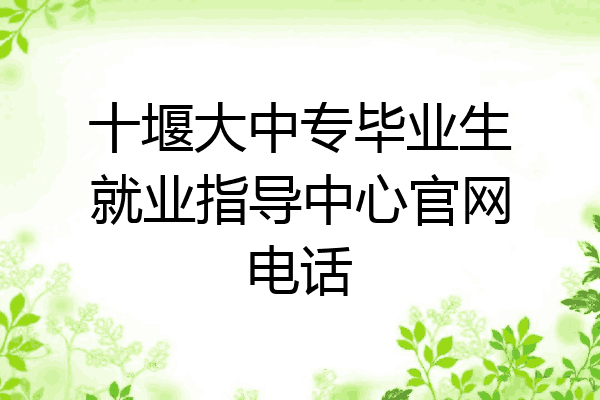 十堰大中专毕业生就业指导中心官网电话
