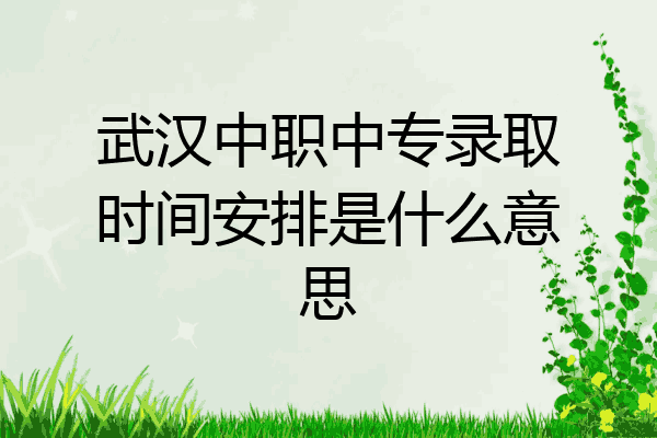 武汉中职中专录取时间安排是什么意思