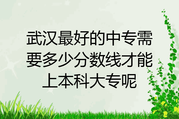 武汉最好的中专需要多少分数线才能上本科大专呢