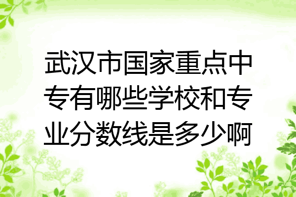 武汉市国家重点中专有哪些学校和专业分数线是多少啊